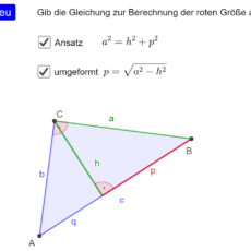 Ü Gleichungen im rechtwinkligen Dreieck ermitteln (Ma 8)