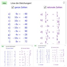 Ü Lösen von Gleichungen (Ma 7)