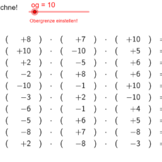 Ü Multiplikation mehrerer ganzer Zahlen (Ma 7)