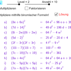 Binomische Formeln (Ma 8)