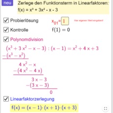 Ü Polynomdivision (Ma 11)