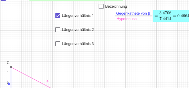 Zusammenhänge im rechtwinkligen Dreieck (Ma 10)