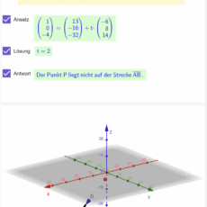 Punkt der Strecke oder der Geraden? (Ma 13)
