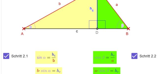 Herleitung des Sinussatzes (Ma 10)