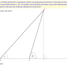 P10 Trigonometrie (vgl. 2003)